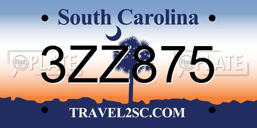 3ZZ875 South Carolina License Plate