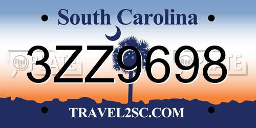 3ZZ9698 South Carolina License Plate
