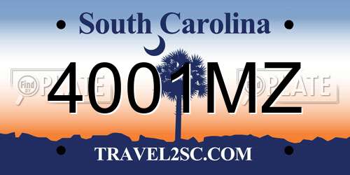 4001MZ South Carolina License Plate