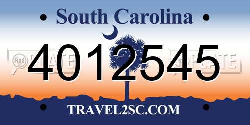 4012545 South Carolina License Plate