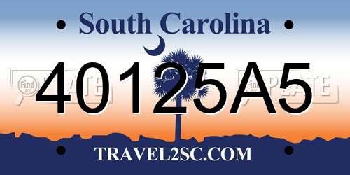 40125A5 South Carolina License Plate