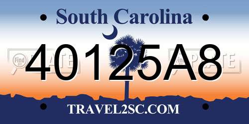 40125A8 South Carolina License Plate