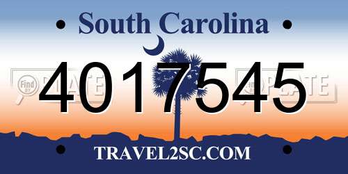 4017545 South Carolina License Plate