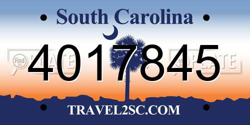 4017845 South Carolina License Plate