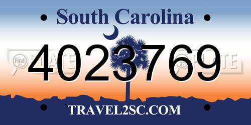 4023769 South Carolina License Plate