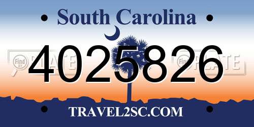 4025826 South Carolina License Plate