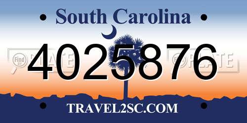 4025876 South Carolina License Plate