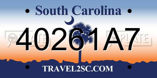 40261A7 South Carolina License Plate