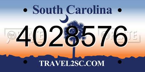 4028576 South Carolina License Plate