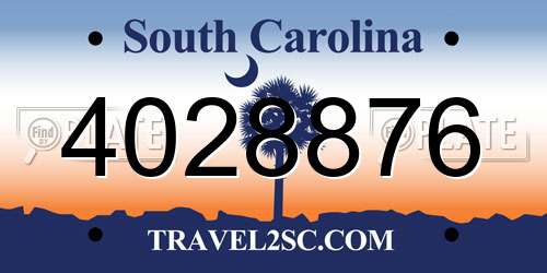 4028876 South Carolina License Plate