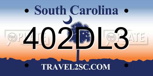 402DL3 South Carolina License Plate