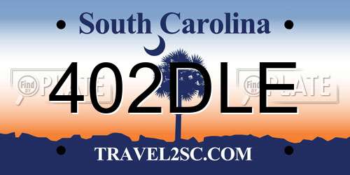 402DLE South Carolina License Plate