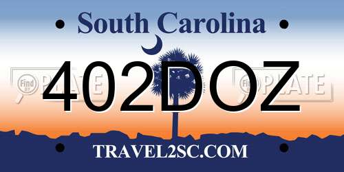 402DOZ South Carolina License Plate