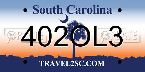 402OL3 South Carolina License Plate
