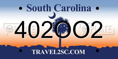 402OO2 South Carolina License Plate