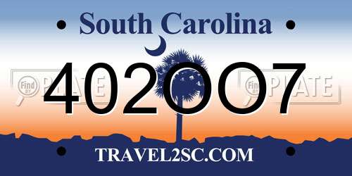 402OO7 South Carolina License Plate