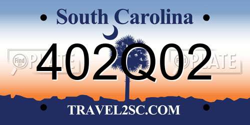 402Q02 South Carolina License Plate