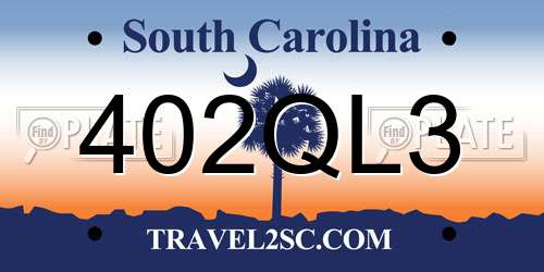 402QL3 South Carolina License Plate