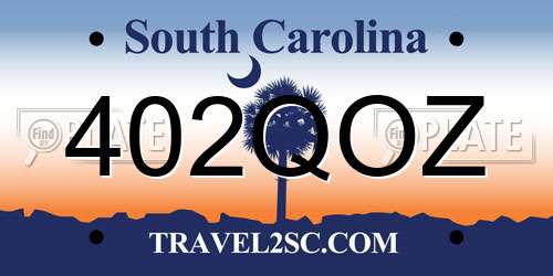 402QOZ South Carolina License Plate