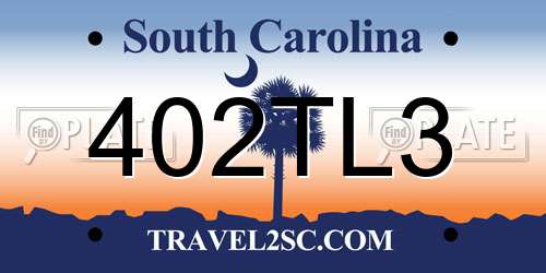 402TL3 South Carolina License Plate