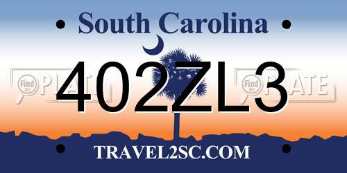 402ZL3 South Carolina License Plate