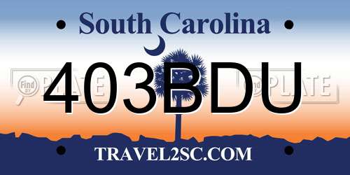403BDU South Carolina License Plate