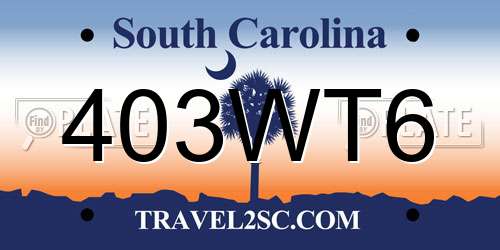 403WT6 South Carolina License Plate