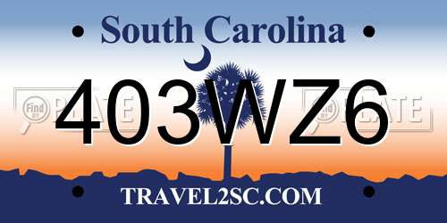 403WZ6 South Carolina License Plate