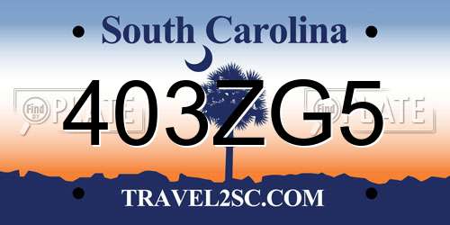 403ZG5 South Carolina License Plate