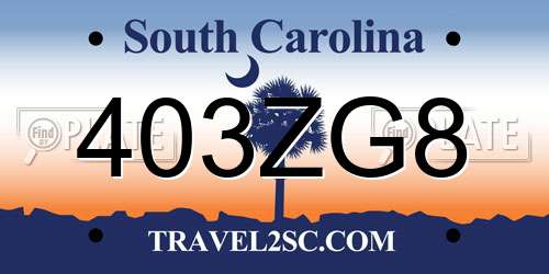 403ZG8 South Carolina License Plate