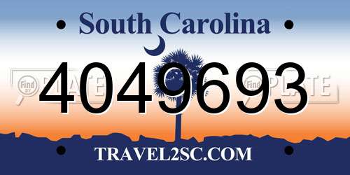 4049693 South Carolina License Plate