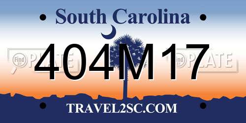 404M17 South Carolina License Plate
