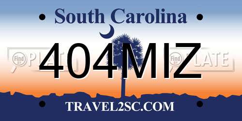 404MIZ South Carolina License Plate