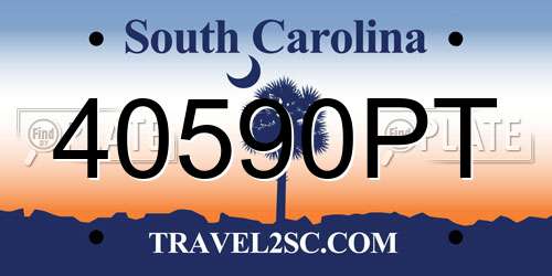 40590PT South Carolina License Plate