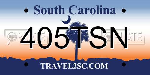 405TSN South Carolina License Plate
