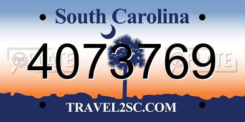 4073769 South Carolina License Plate
