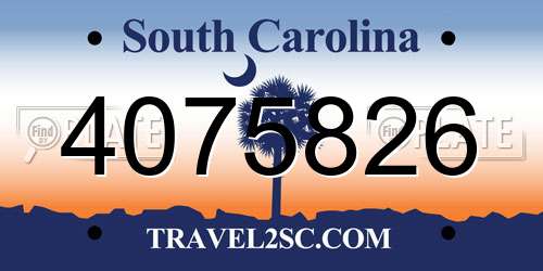 4075826 South Carolina License Plate