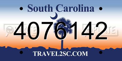 4076142 South Carolina License Plate