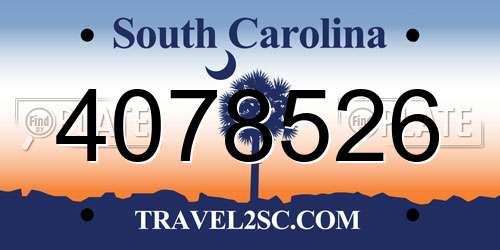 4078526 South Carolina License Plate