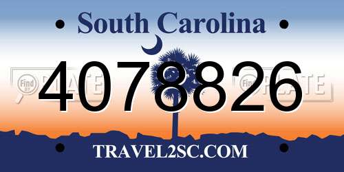 4078826 South Carolina License Plate