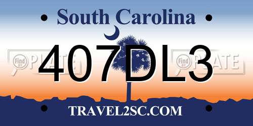 407DL3 South Carolina License Plate