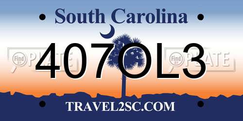 407OL3 South Carolina License Plate