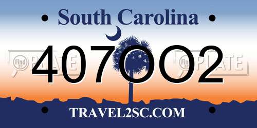 407OO2 South Carolina License Plate