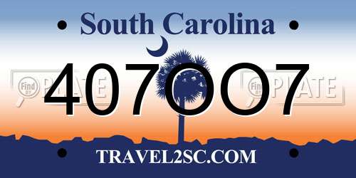 407OO7 South Carolina License Plate