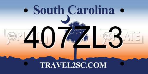 407ZL3 South Carolina License Plate
