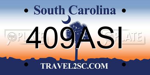 409ASI South Carolina License Plate