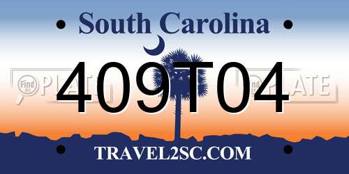409T04 South Carolina License Plate