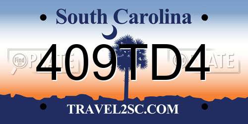 409TD4 South Carolina License Plate