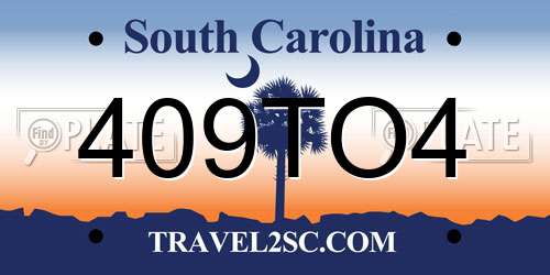 409TO4 South Carolina License Plate