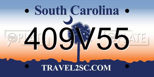 409V55 South Carolina License Plate